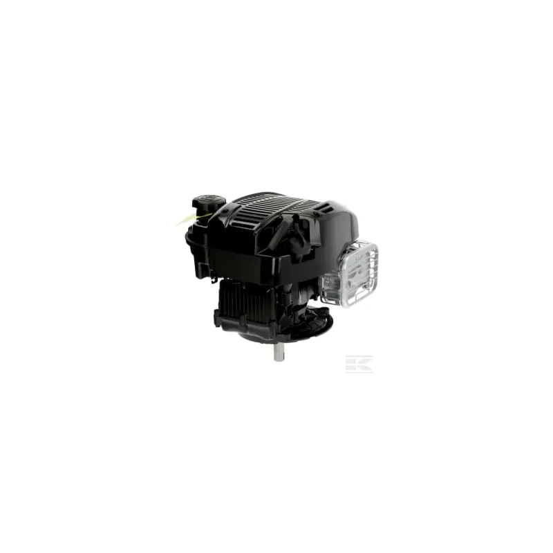 Moteur vertical, 5,4 CV 675 Briggs & Stratton