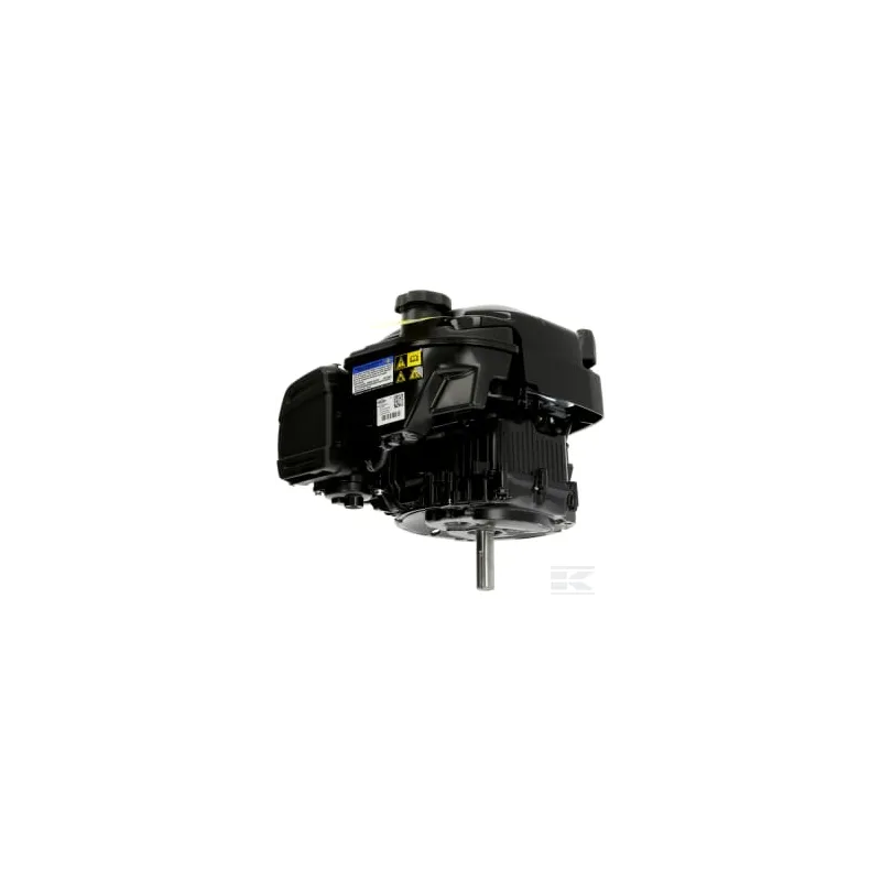 Moteur vertical, 5,4 CV 675 Briggs & Stratton