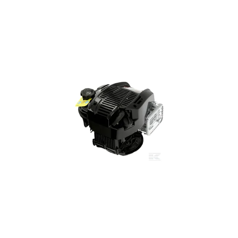 Moteur vertical, 5,4 CV 675 Briggs & Stratton
