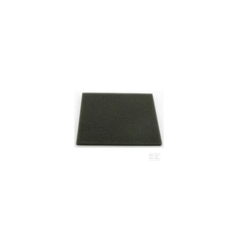 Pré filtre pour 11013 2154
