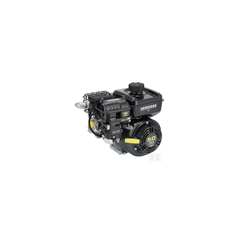 Moteur, horizontal 5 Hp 19,5 mm PTO, Briggs & Stratton