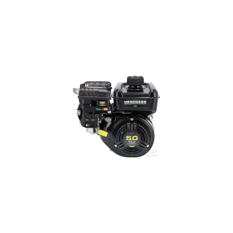 Moteur, horizontal 5 Hp 19,5 mm PTO, Briggs & Stratton
