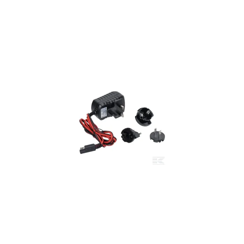 Chargeur 12 V 417