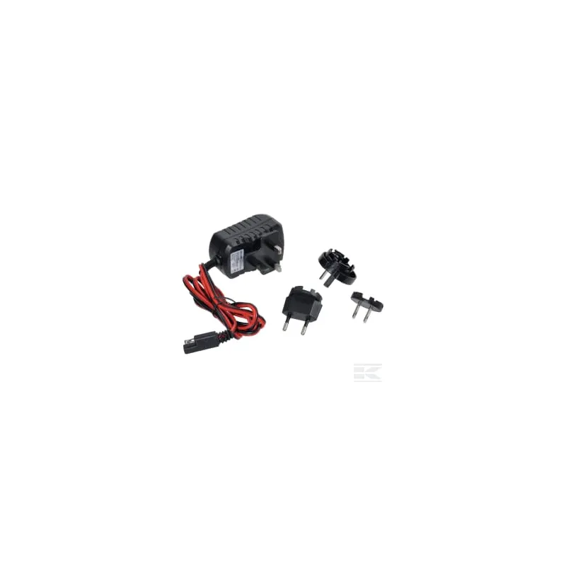 Chargeur 12 V 417