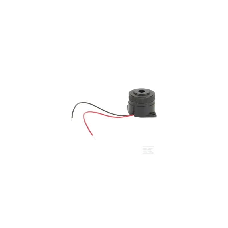 Buzzer
