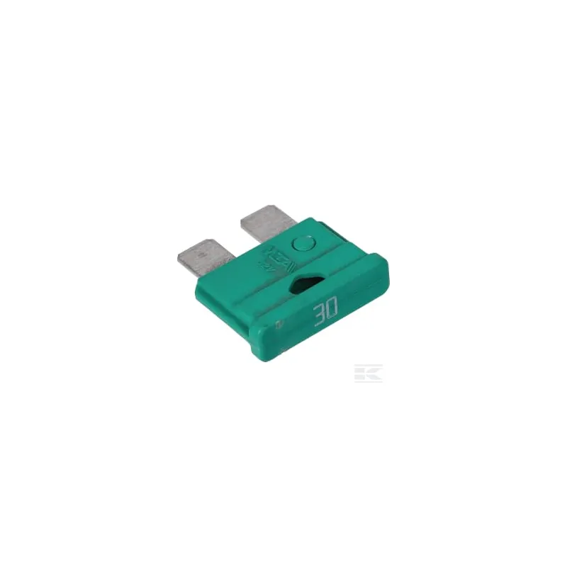 Fusible 30A