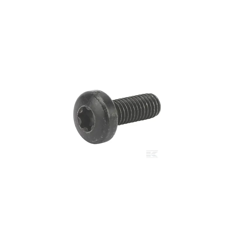 Vis TCB torx M6x16