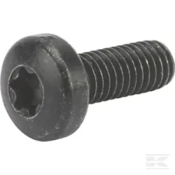 Vis TCB torx M6x16