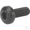 Vis TCB torx M6x16