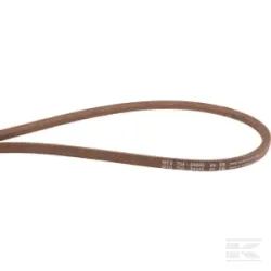 Courroie trapézoïdale