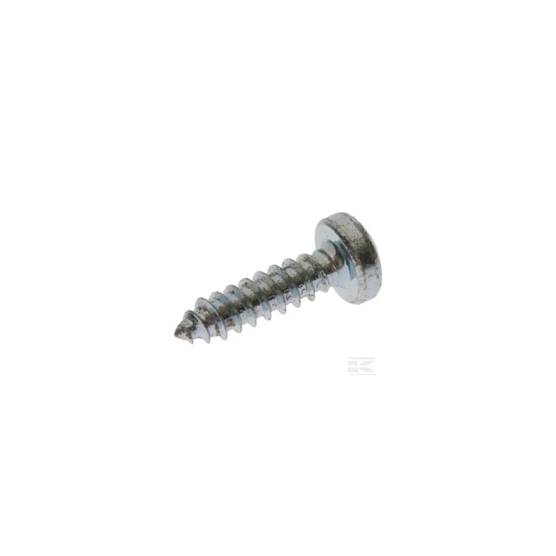 Vis autotaraudeuse TCB Torx 4,2 x 16