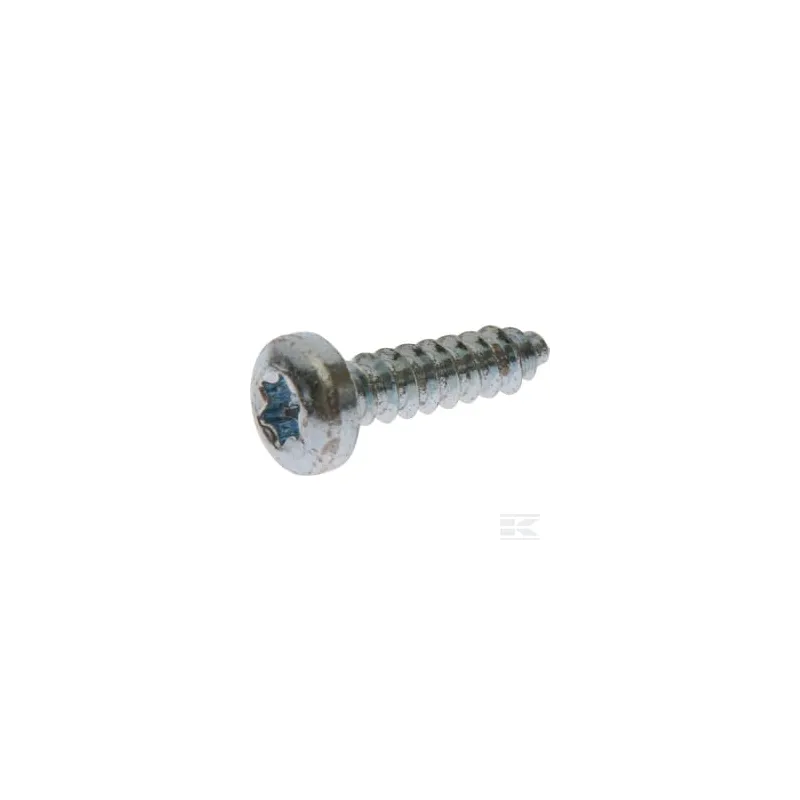 Vis autotaraudeuse TCB Torx 4,2 x 16