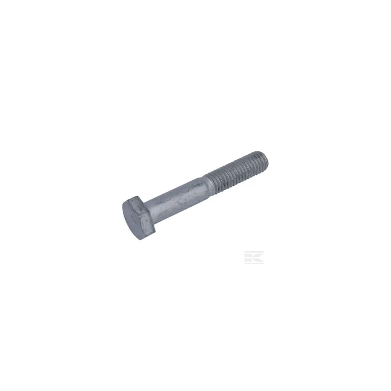 Vis M10x60