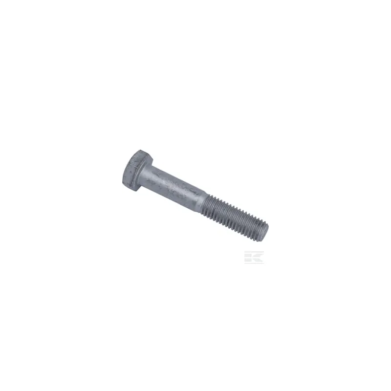 Vis M10x60