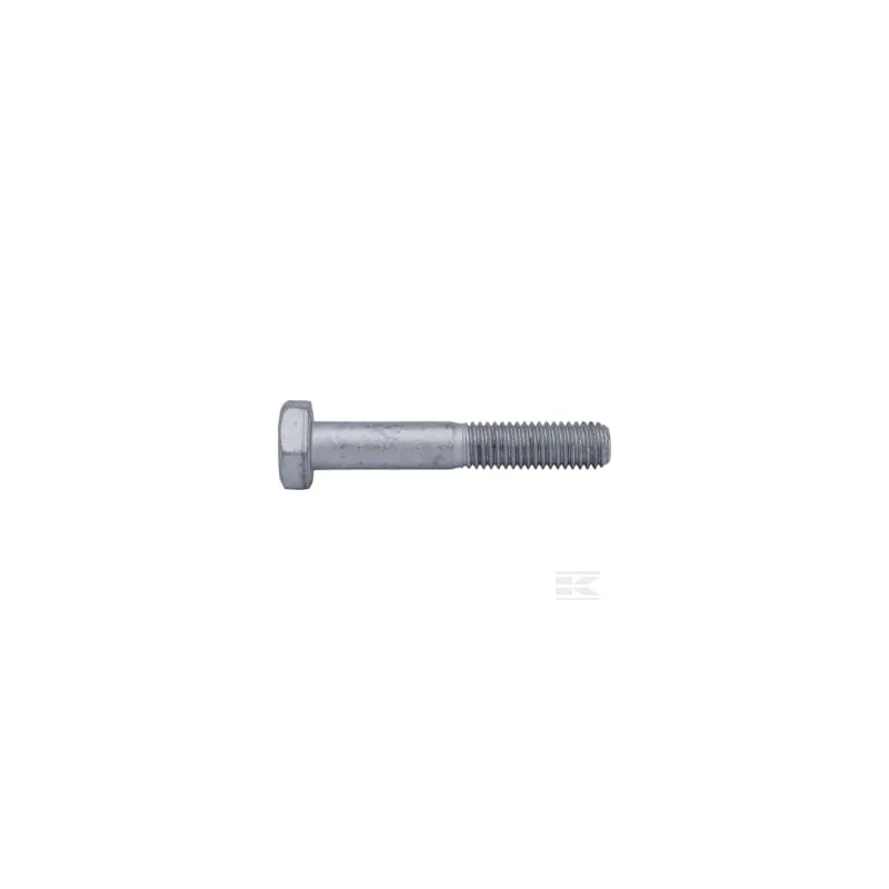 Vis M10x60