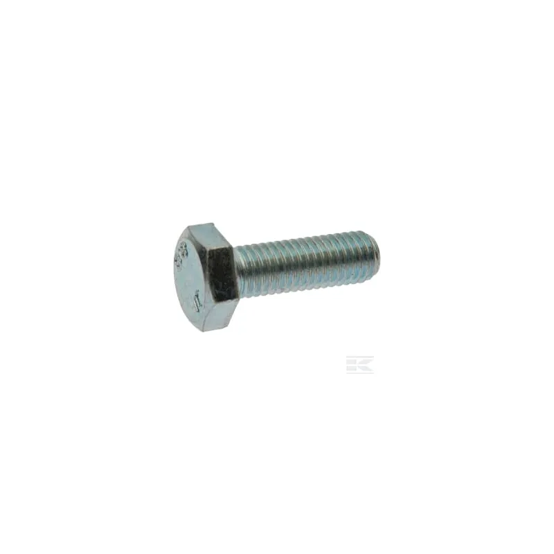 Vis à tête hexagonale M10 x 30 UNI 5739 8.8