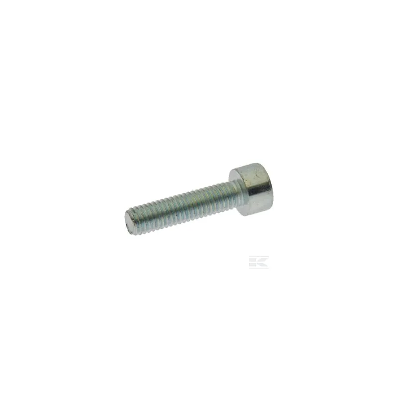 Vis TC M5 x 20