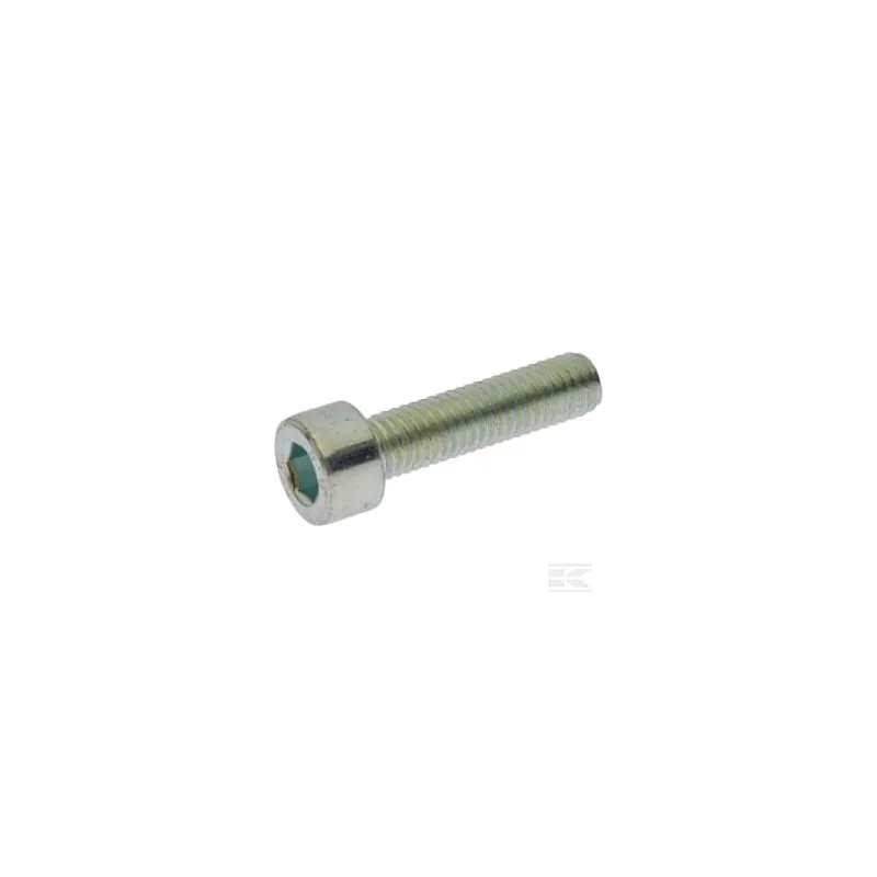 Vis TC M5 x 20