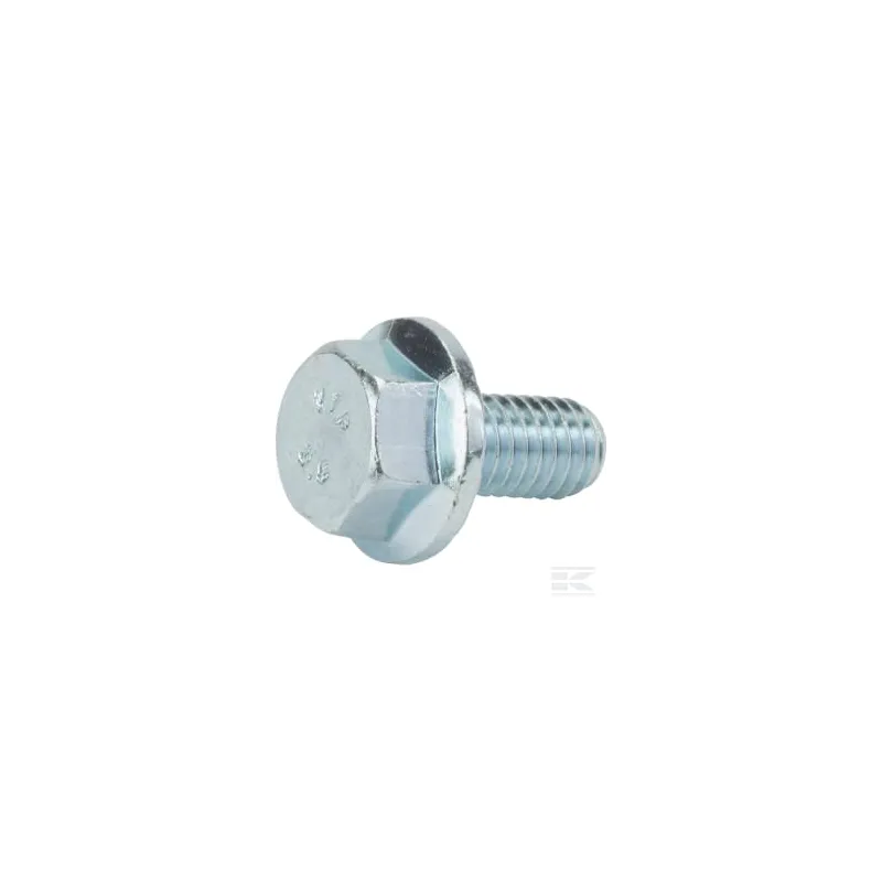 Boulon M6x12 RS100