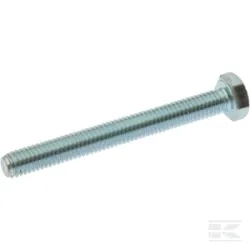 Vis à tête hexagonale M6 x 55