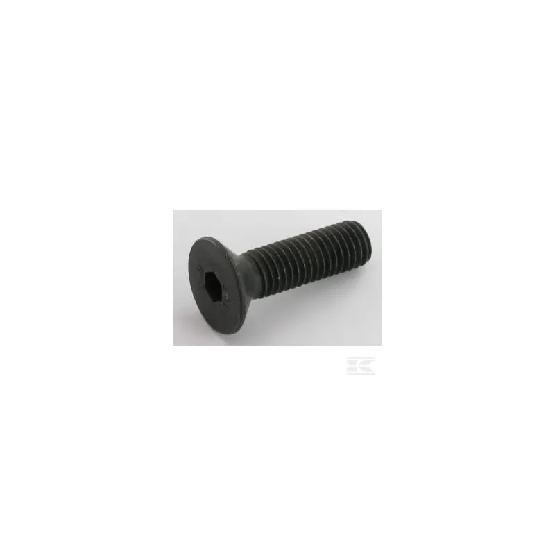 Vis mf6s M10x40 DIN7991