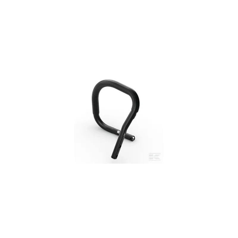 Guidon