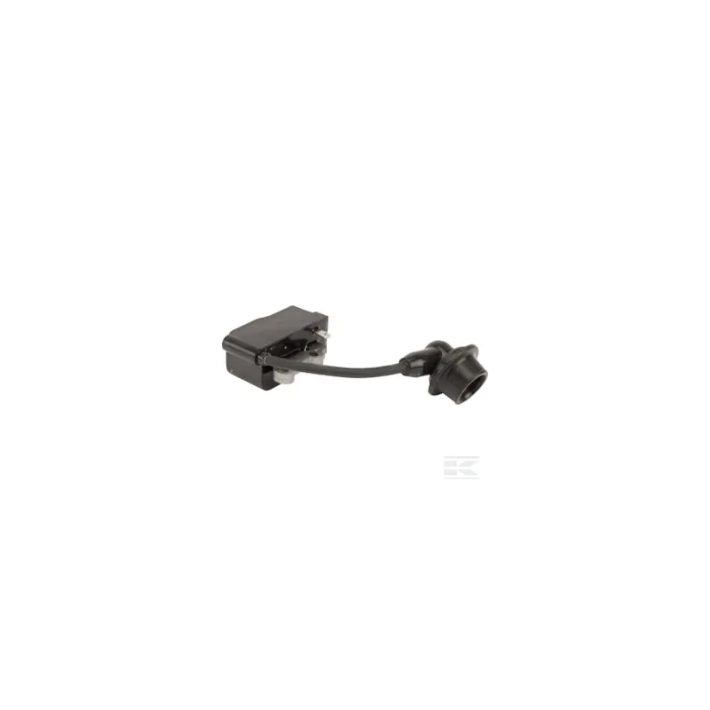 Ensemble bobine d'allumage et volant moteur (HT Zj)