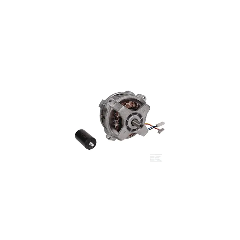 Moteur électrique 1000W