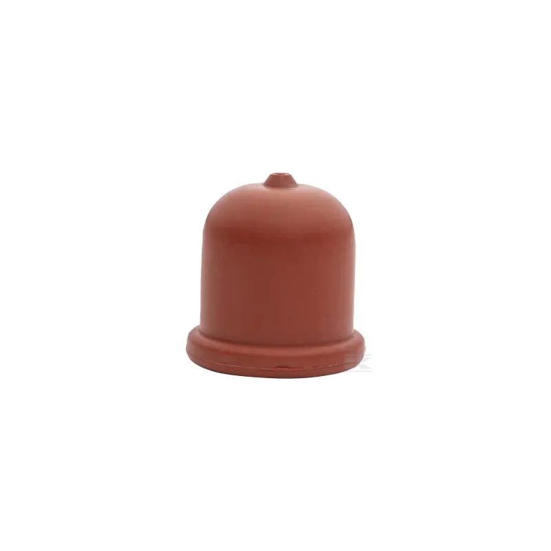 Pompe d'amorçage