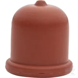Pompe d'amorçage