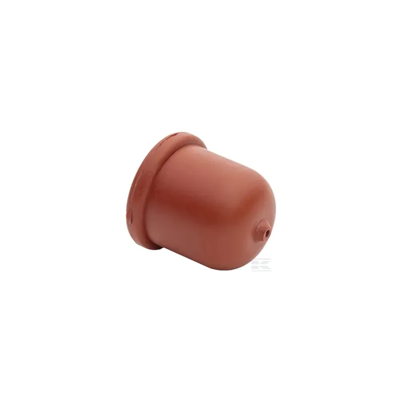 Pompe d'amorçage