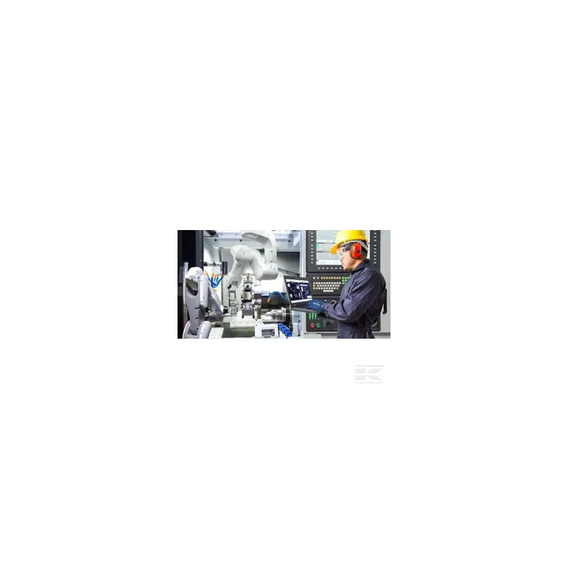 Gants, HyFlex® 11-819 taille 11