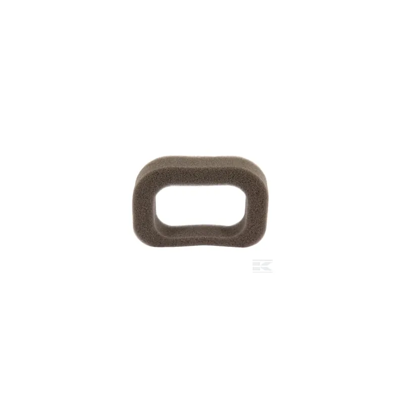 Filtre à mousse RS100