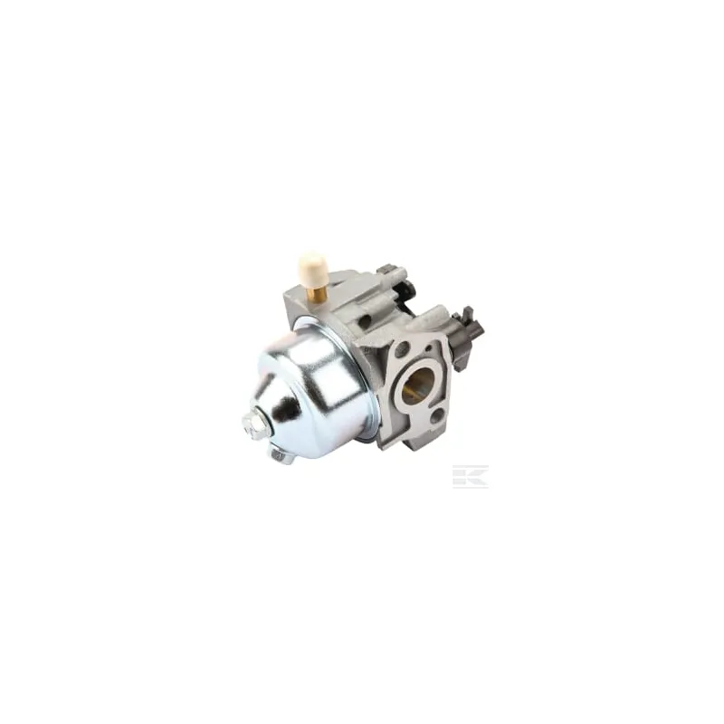 Carburateur 165F-3