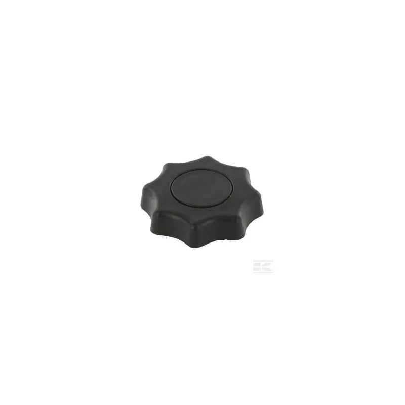 Bouton du filtre à air