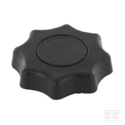Bouton du filtre à air