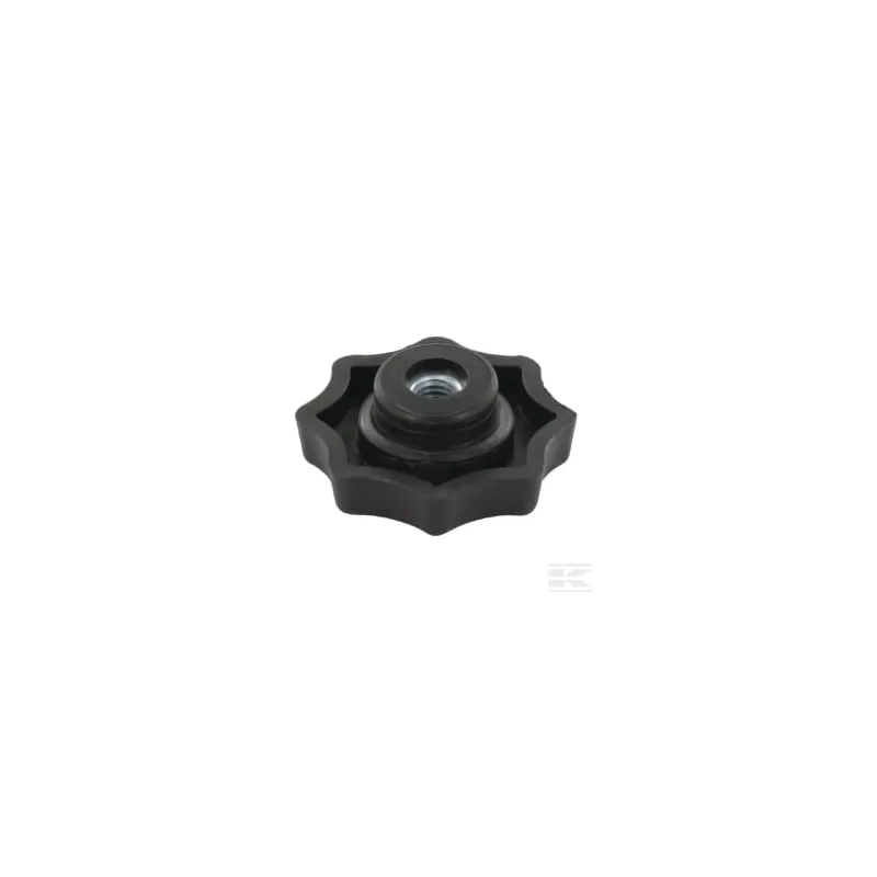 Bouton du filtre à air
