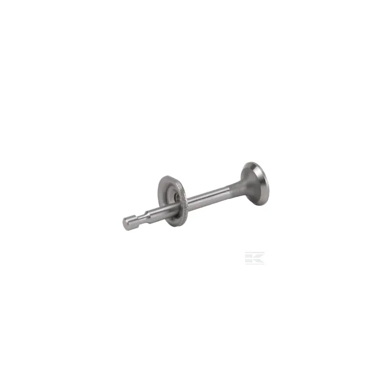 Soupape d'échappement RS100