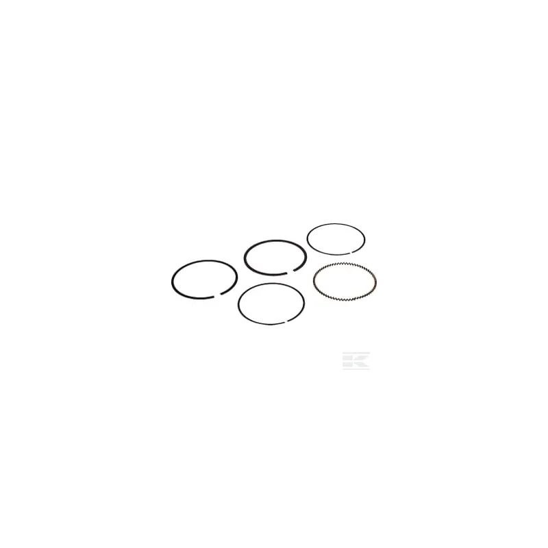 Ressort de piston RS100