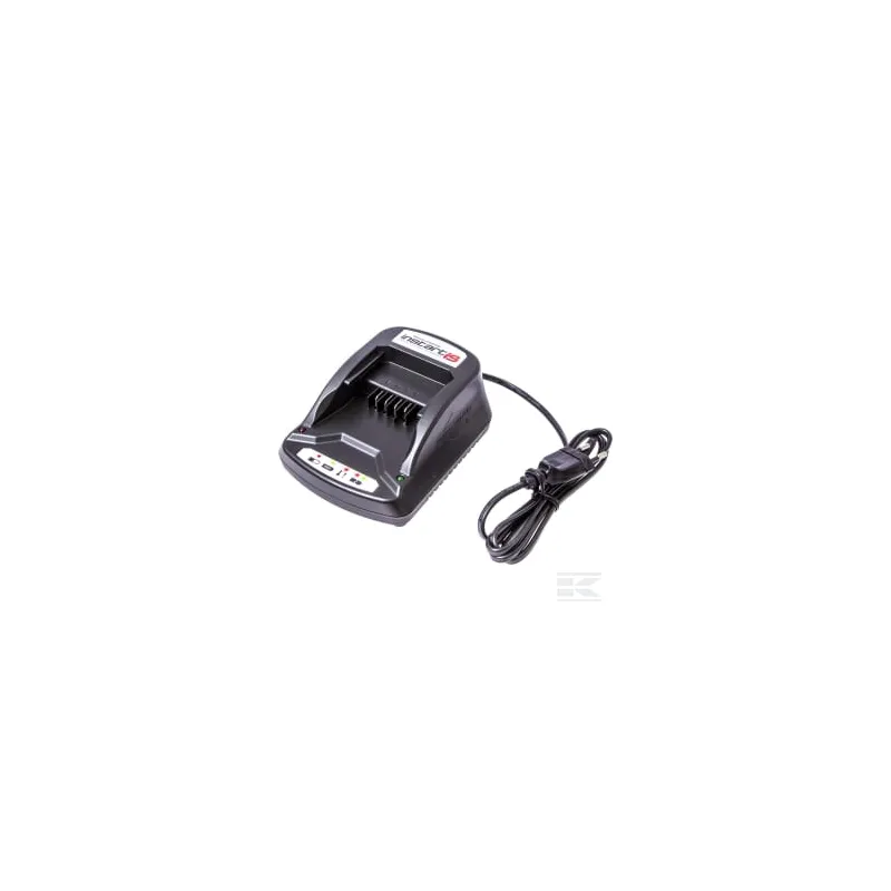 Chargeur de batterie li-ion instart (EU) 596333 Briggs & Stratton