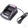 Chargeur de batterie li-ion instart (EU) 596333 Briggs & Stratton