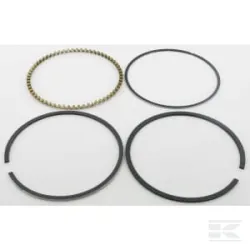 Segments standard