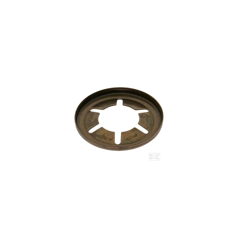 Circlip d12