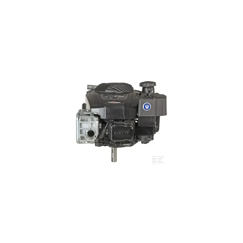 Moteur vertical, 5,9 HP, monocylindre, série 850E, Briggs & Stratton