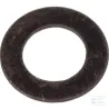 Circlip