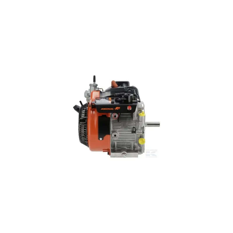 Moteur, horizontal, 8.8 CV, Série Karting 206, Briggs & Stratton