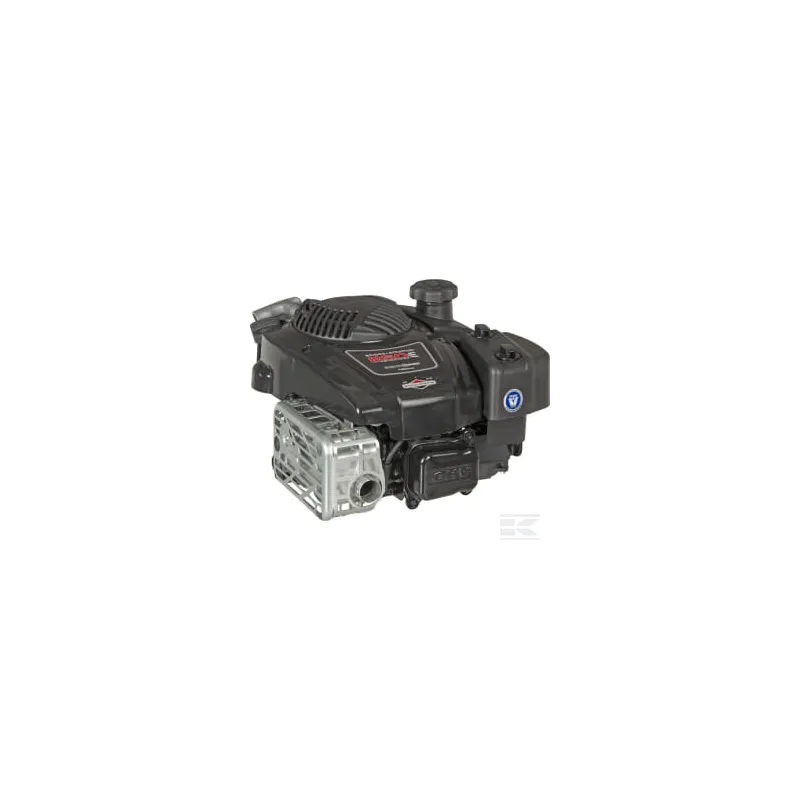 Moteur vertical, 5,9 HP, monocylindre, série 850E, Briggs & Stratton