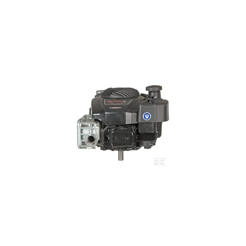Moteur vertical, 5,9 HP, monocylindre, série 850E, Briggs & Stratton