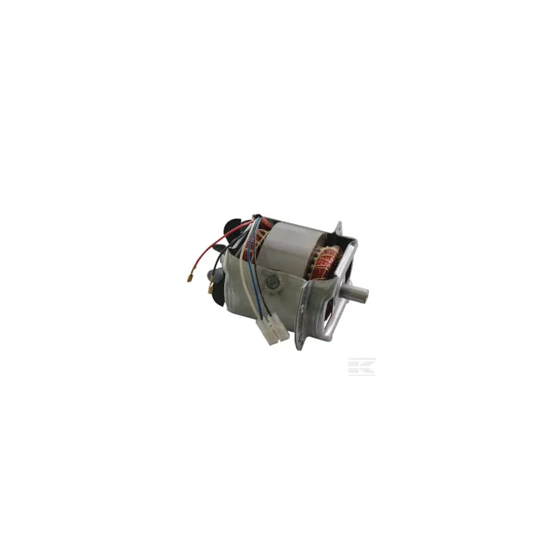 Moteur électrique