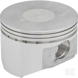 Piston (standard)